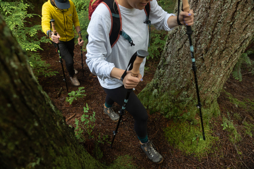 hiking with trekking poles