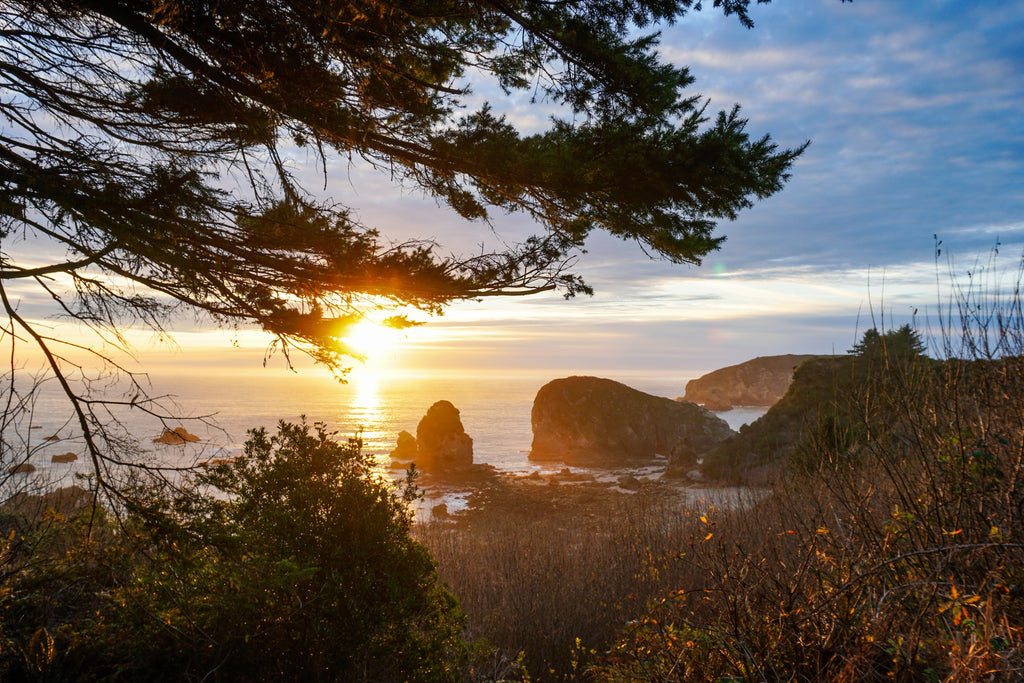 Road Tripping the PNW - What We Learned on Our Winter Road Trip - Oregon Coast