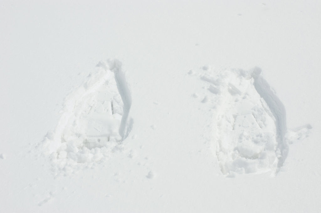 snowshoe tracks in snow