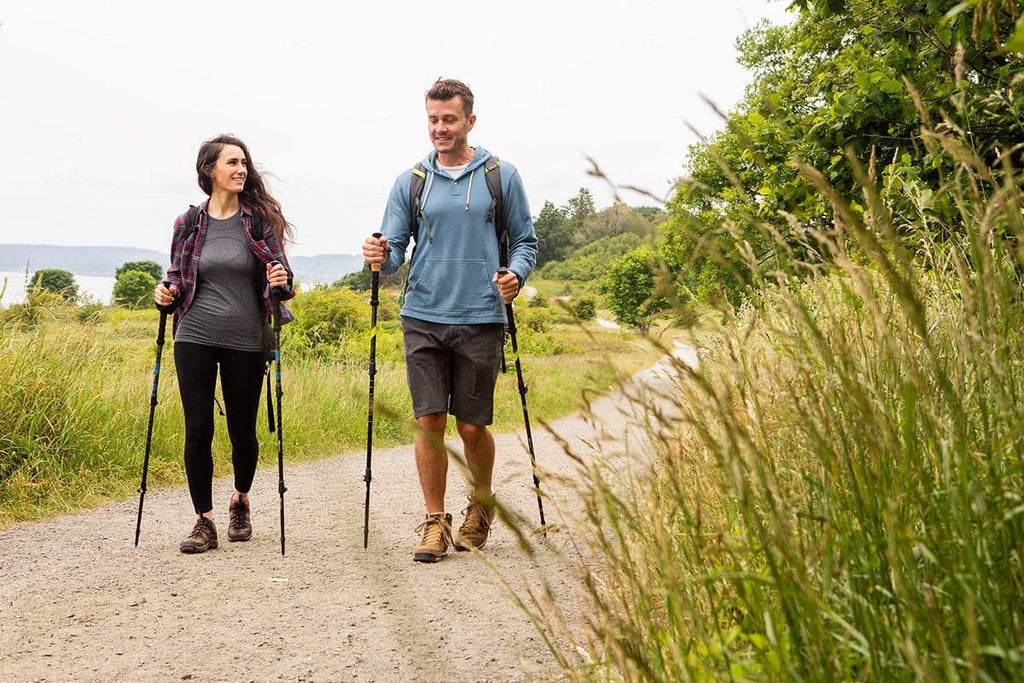 Hiking Trekking Pole
