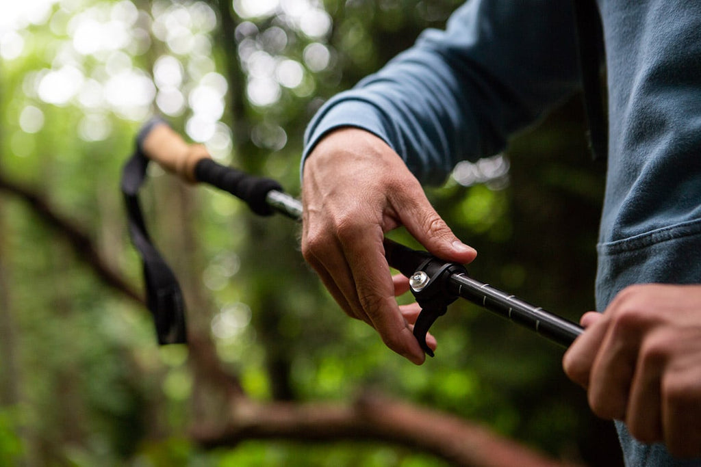 Cascade Mountain Tech Carbon Fiber Quick Lock Matte Black Trekking Pole